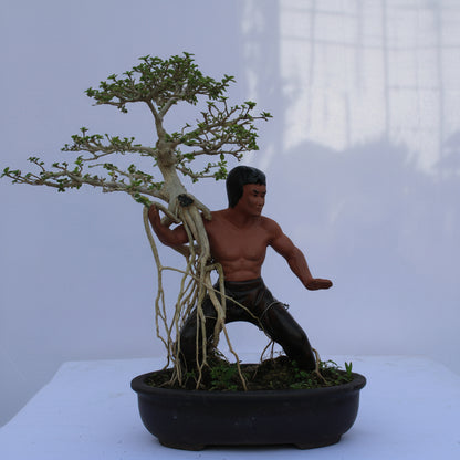 Martial Artist Bonsai Figurine – Decorative Ceramic Statue for Bonsai, Terrarium & Home Décor