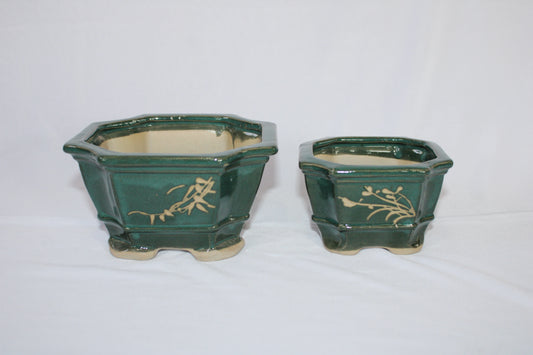 Imported Taiwanese Hexagonal Bonsai | Premium Ceramic Bonsai Planters – Large & Small | Green & Matte Brown Finish