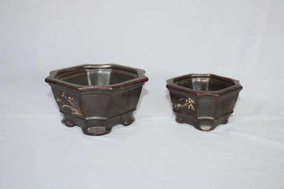 Imported Taiwanese Hexagonal Bonsai | Premium Ceramic Bonsai Planters – Large & Small | Green & Matte Brown Finish