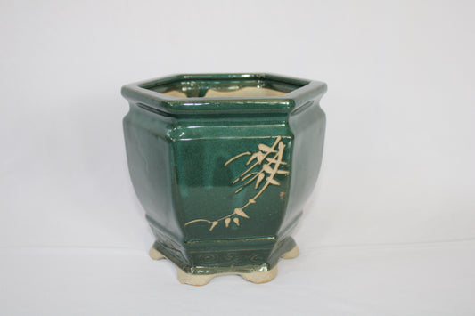 Imported Taiwanese Hexagonal Bonsai Pot | Premium Ceramic Bonsai Planter (Green & Matte Brown) | Artistic Glazed Bonsai Container