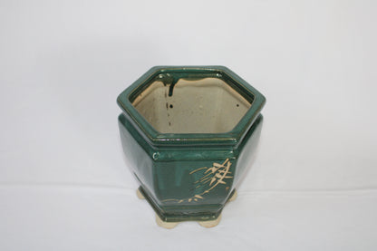Imported Taiwanese Hexagonal Bonsai Pot | Premium Ceramic Bonsai Planter (Green & Matte Brown) | Artistic Glazed Bonsai Container