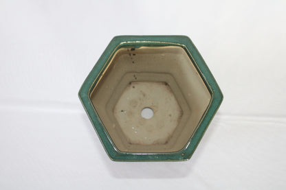Imported Taiwanese Hexagonal Bonsai Pot | Premium Ceramic Bonsai Planter (Green & Matte Brown) | Artistic Glazed Bonsai Container