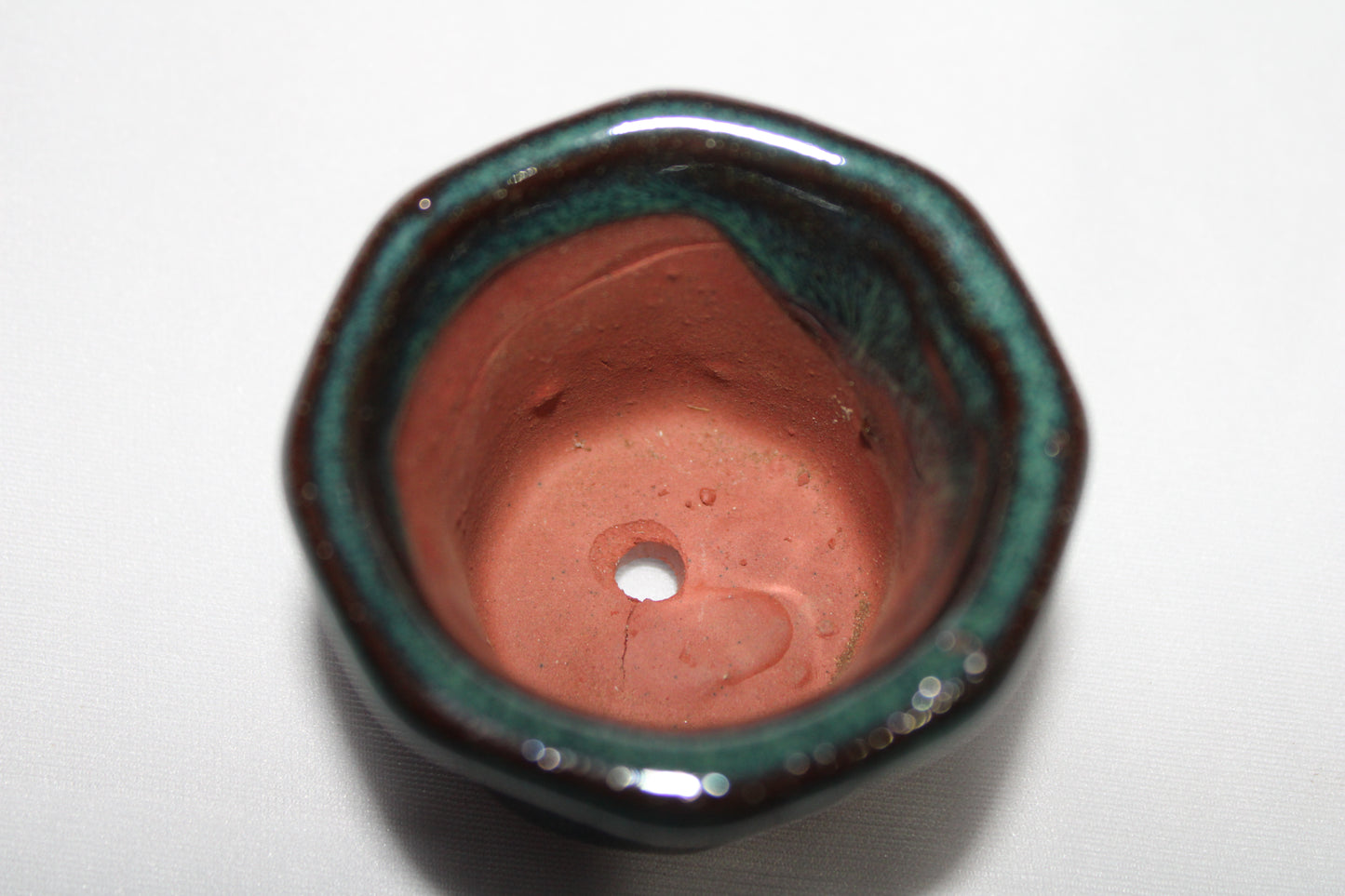 Mini Oval Glossy Green Ceramic Bonsai Pot | Vietnam Imported Designer Succulent Planter | Small Indoor Bonsai Container